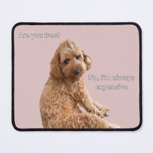 Item preview, Labradoodle Dog sarcastic staring Meme designed and sold by Prime_Store.