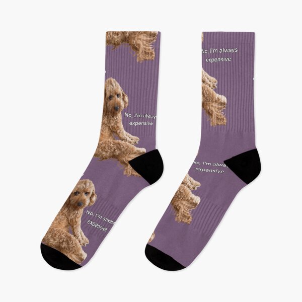 Item preview, Labradoodle Dog sarcastic staring Meme designed and sold by Prime_Store.