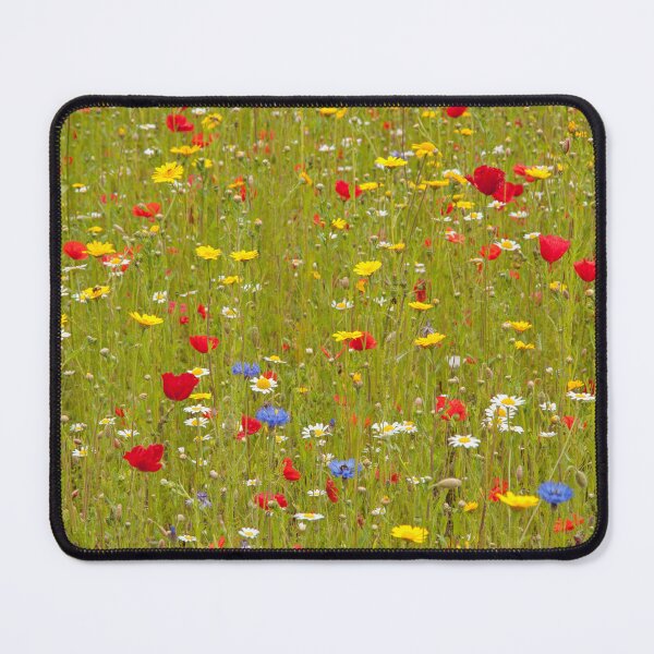Item preview, Summertime designed and sold by maureen bracewell.