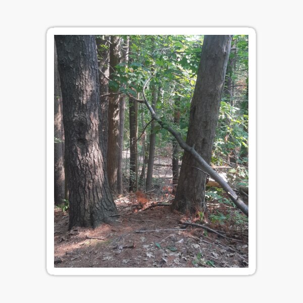 Item preview, Forest designed and sold by RedParker.