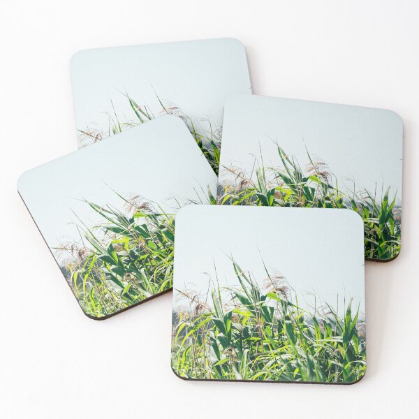 Item preview, Songbird in Flight Over Summer Reeds – Jeziorzany, Poland designed and sold by alicjamiekina.