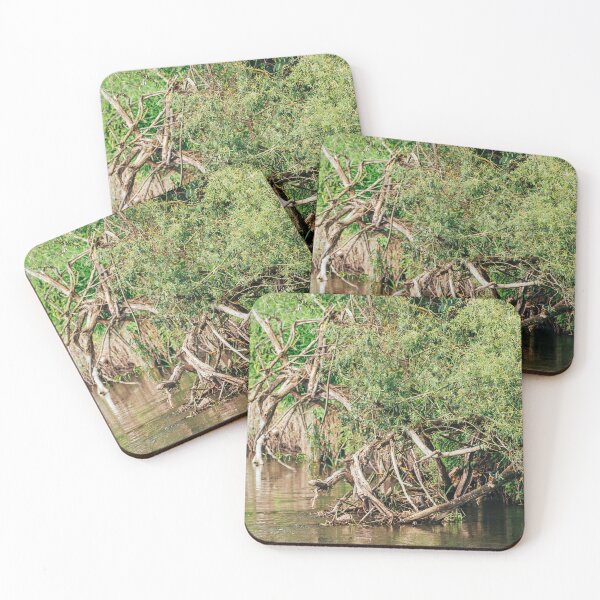 Item preview, Kingfisher Among the Branches – Hidden Jewel of Jeziorzany designed and sold by alicjamiekina.