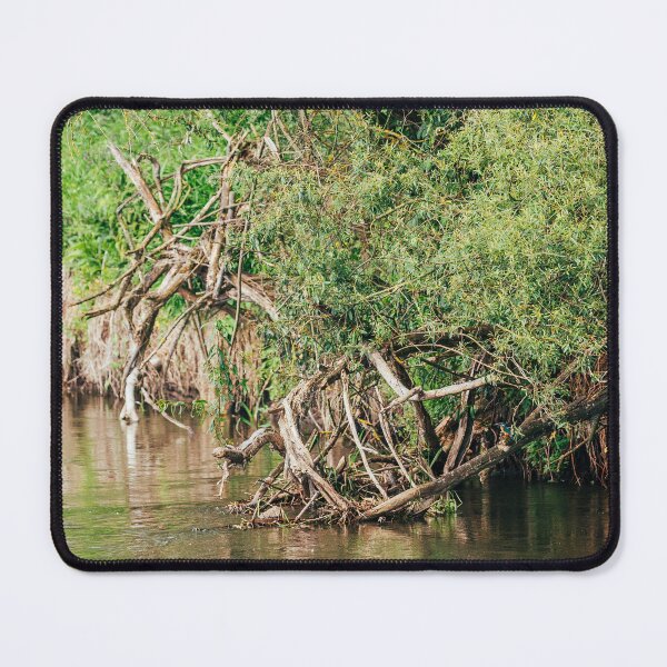 Item preview, Kingfisher Among the Branches – Hidden Jewel of Jeziorzany designed and sold by alicjamiekina.