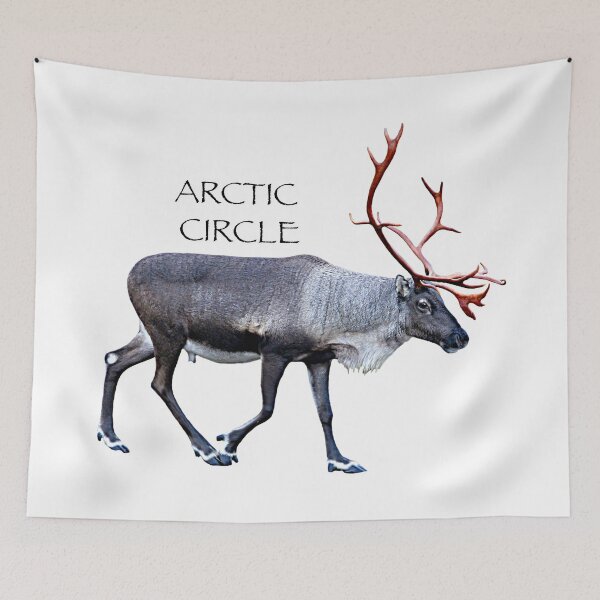 Item preview, ARCTIC CIRCLE designed and sold by FotoJarmo.