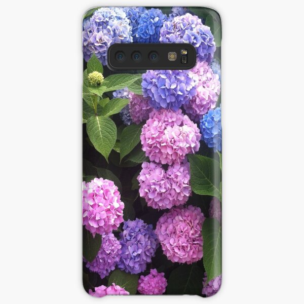 Cape Cod Pink and Blue Hydrangeas Samsung Galaxy Snap Case