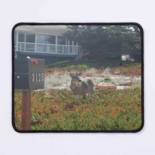 Item preview, Surprised deer designed and sold by Ventura Photography .