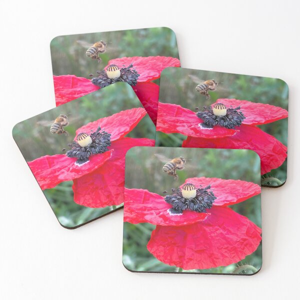 Item preview, At last designed and sold by Craftingurl.