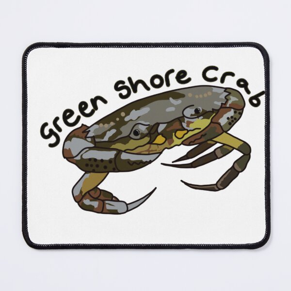 Item preview, Green Shore Crab designed and sold by Meggie-moos.