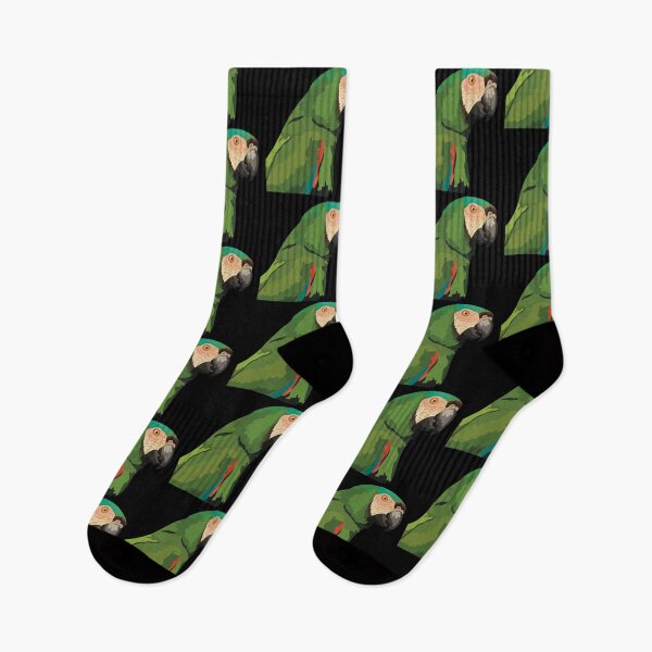 Item preview, C is for Chestnut Fronted Macaw, Chestnut-Fronted Macaw Gifts | Parrot Art for Bird Lovers, Keepers & Avian Professionals” designed and sold by PrettylittlepastelUk.