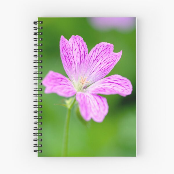 Item preview, Little Geranium designed and sold by JeanKellyPhoto.