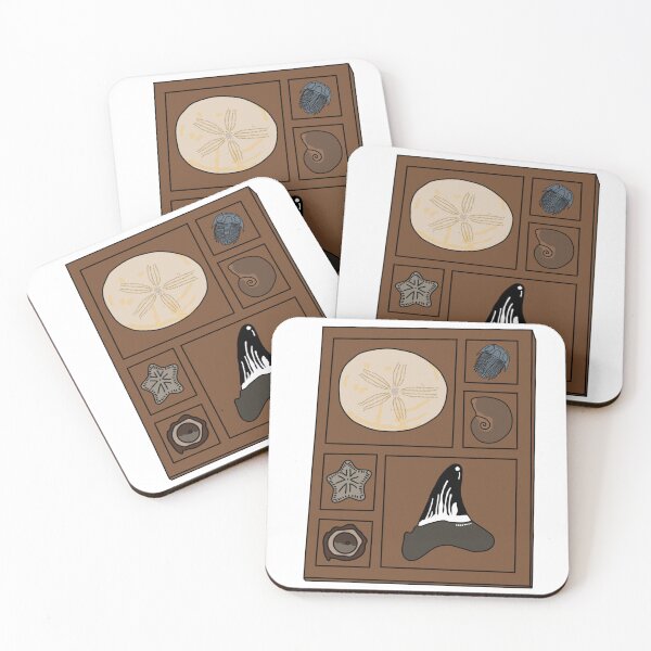 Item preview, Curio tray of fossils 1 designed and sold by Meggie-moos.