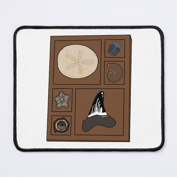 Item preview, Curio tray of fossils 1 designed and sold by Meggie-moos.