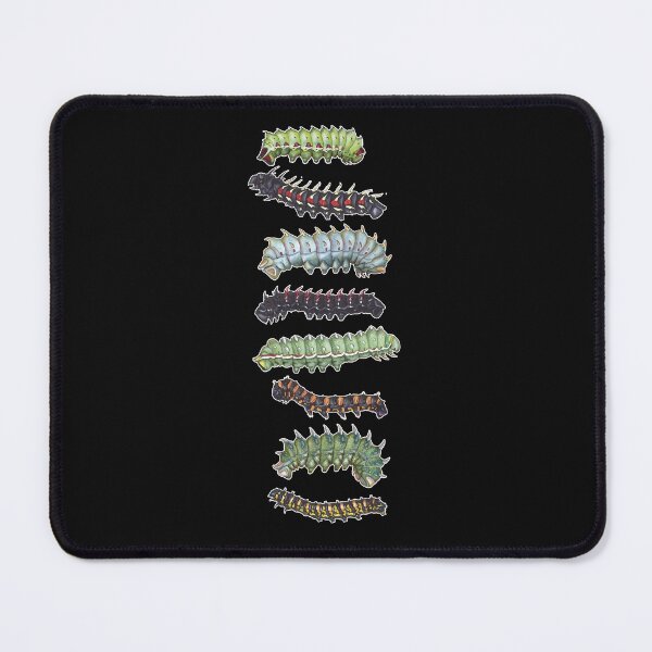 Item preview, Dollman Catepillars designed and sold by DreamingBeetle.
