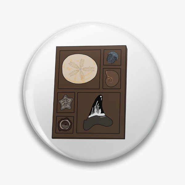 Item preview, Copy of Curio tray of fossils 2 designed and sold by Meggie-moos.