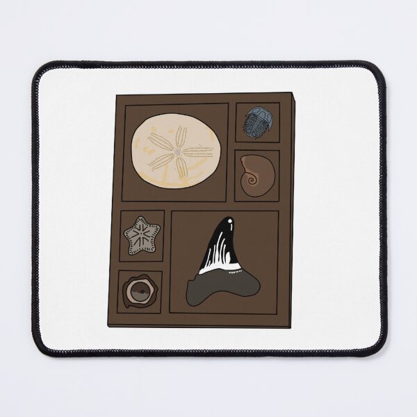 Item preview, Copy of Curio tray of fossils 2 designed and sold by Meggie-moos.