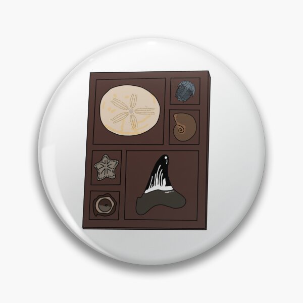 Item preview, Copy of Copy of Curio tray of fossils 3 designed and sold by Meggie-moos.