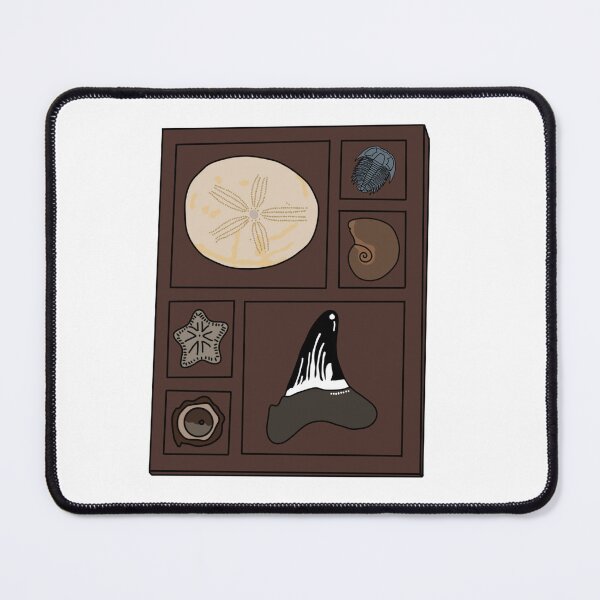 Item preview, Copy of Copy of Curio tray of fossils 3 designed and sold by Meggie-moos.