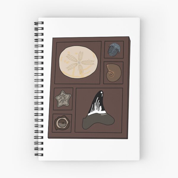Item preview, Copy of Copy of Curio tray of fossils 3 designed and sold by Meggie-moos.