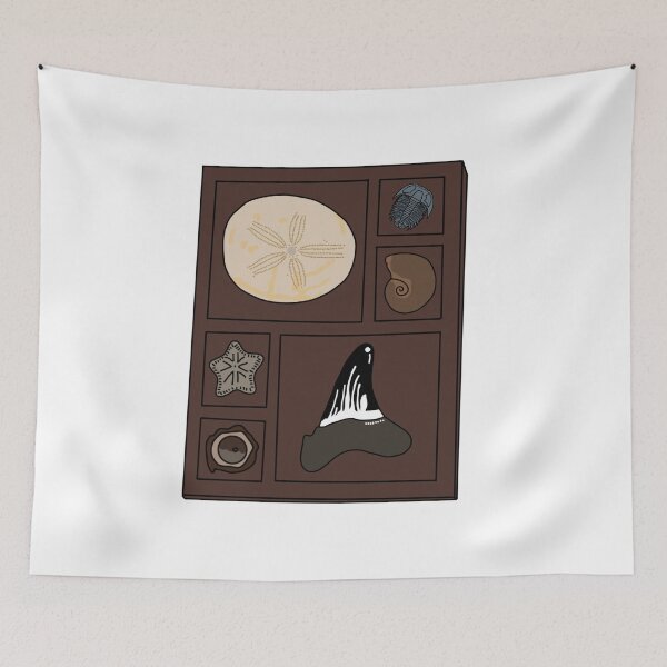 Item preview, Copy of Copy of Curio tray of fossils 3 designed and sold by Meggie-moos.