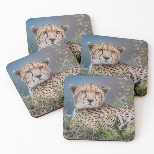 Item preview, Reclining Cheetah Masai Mara Kenya designed and sold by PhotoArt by Joan Carroll.