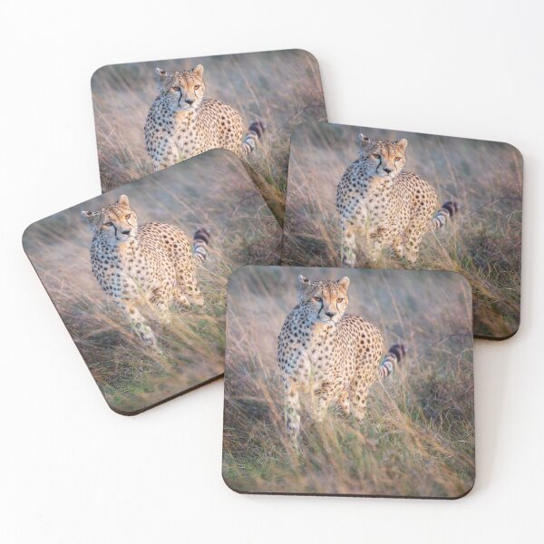 Item preview, Cheetah Starts A Chase Masai Mara Kenya designed and sold by PhotoArt by Joan Carroll.
