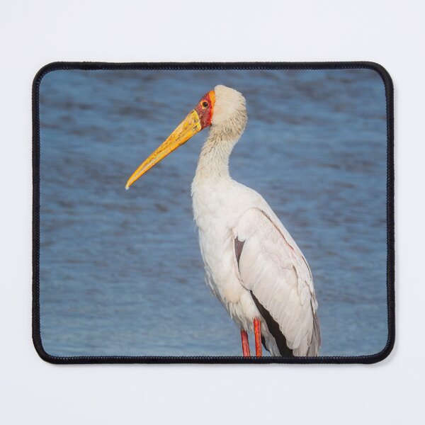 Item preview, Yellow-Billed Stork Masai Mara Kenya designed and sold by PhotoArt by Joan Carroll.