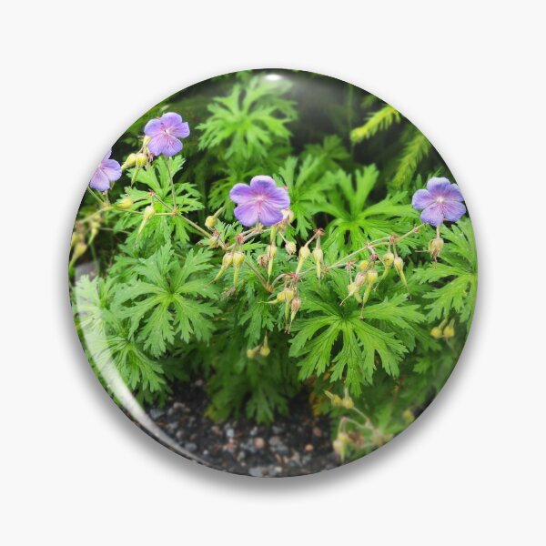 Item preview, Geranium Flowers Photo designed and sold by Sky-99.