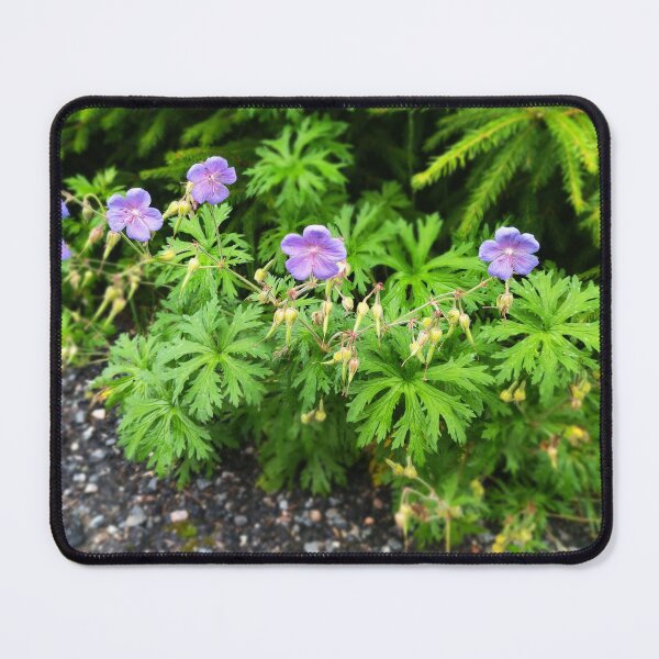 Item preview, Geranium Flowers Photo designed and sold by Sky-99.