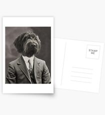 German Wired Hair Pointer, Anthropomorphic Dog in Suit Postcards