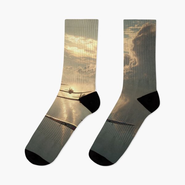 Item preview, Battle of Britain Icons Wings of the RAF designed and sold by Skyframe Aviation.