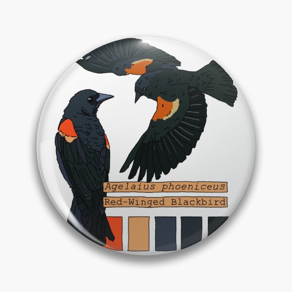 Item preview, Red-Wing Blackbird Color Study designed and sold by Tyler Kemp.