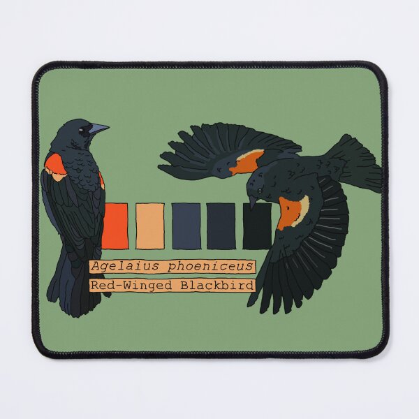 Item preview, Red-Wing Blackbird Color Study designed and sold by Tyler Kemp.