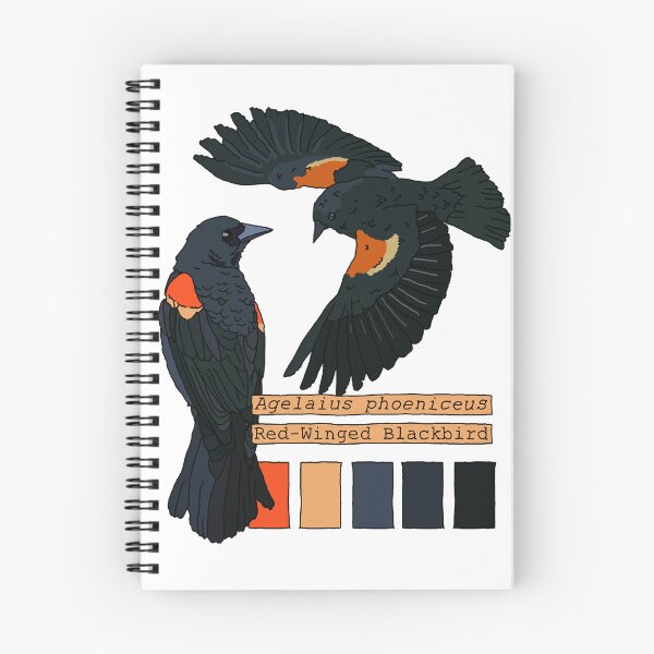Item preview, Red-Wing Blackbird Color Study designed and sold by Tyler Kemp.