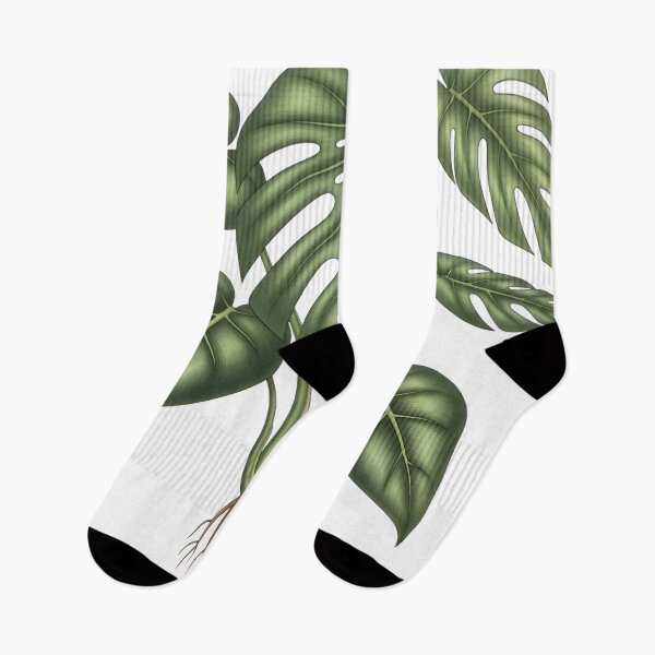 Item preview, Low Light Monstera Aesthetic | Thrives Anywhere Botanical Digital Art designed and sold by AnnDesignStudio.