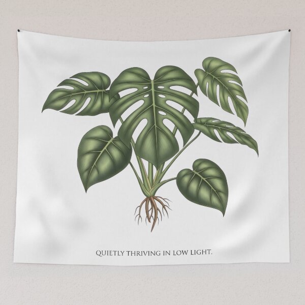 Item preview, Low Light Monstera Aesthetic | Thrives Anywhere Botanical Digital Art designed and sold by AnnDesignStudio.