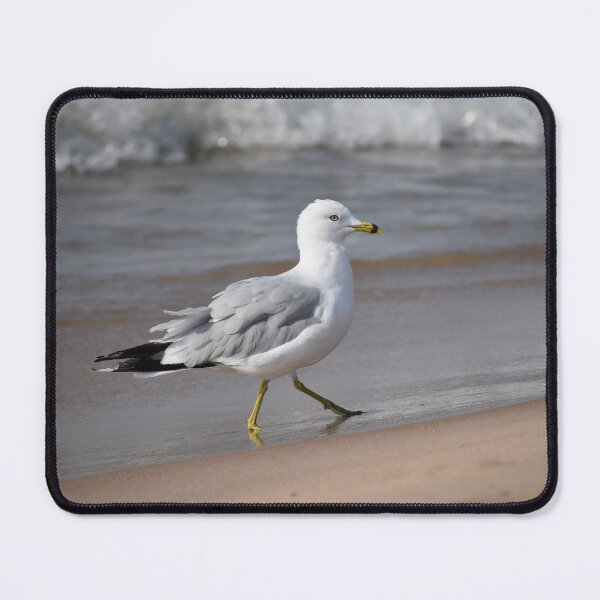 Item preview, Gull on the Beach designed and sold by LizLucasArt.