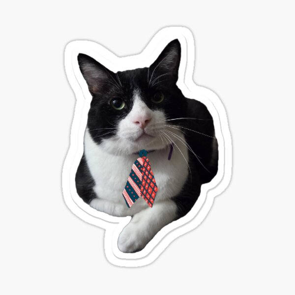Item preview, Francis T. McNally, Esq. designed and sold by Theon Purrjoy and Friends.