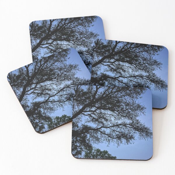Item preview, southern live oak designed and sold by cloudymaiiyah.