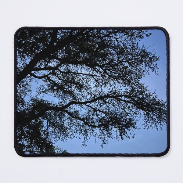 Item preview, southern live oak designed and sold by cloudymaiiyah.