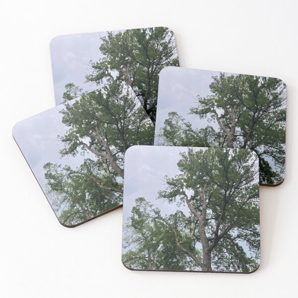 Item preview, eastern cottonwood designed and sold by cloudymaiiyah.