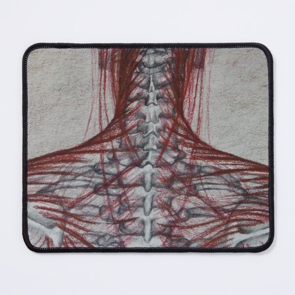 Item preview, Trapezius Muscle with skeleton, anatomical study designed and sold by GiSilver.