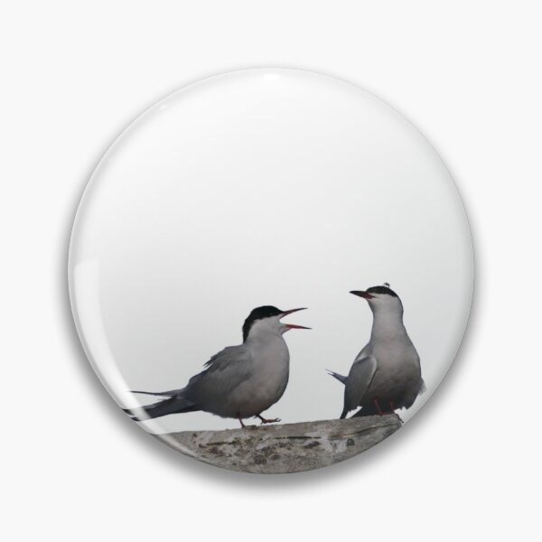 Item preview, Common tern shocked  designed and sold by kritterkewl.