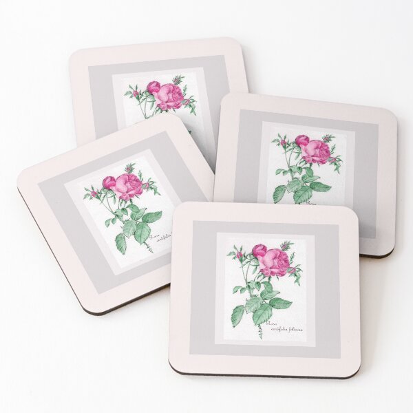 Item preview, Rosa Centifolia Foliacea - watercolor and pen designed and sold by Annie Mason Art.
