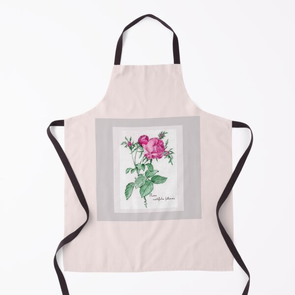 Item preview, Rosa Centifolia Foliacea - watercolor and pen designed and sold by Annie Mason Art.