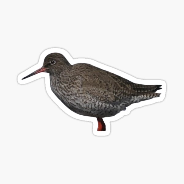Item preview, Common redshank  designed and sold by kritterkewl.