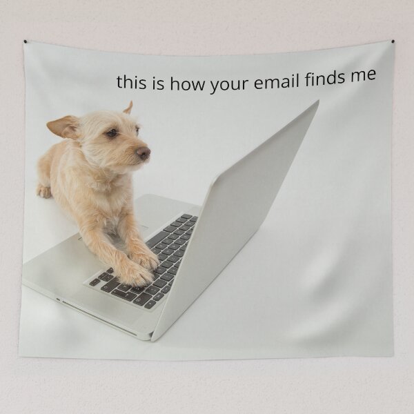 Item preview, this is how your email finds me designed and sold by bubblegumhearts.
