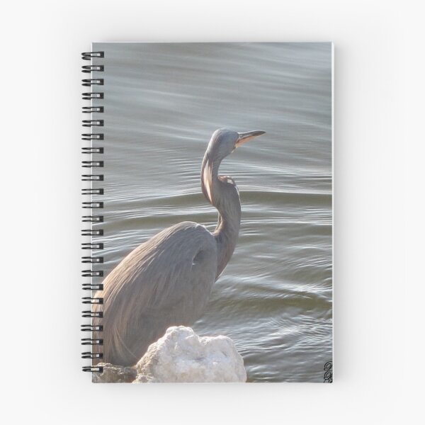Item preview, Great Blue Heron by the Water designed and sold by Rachel B Morton.