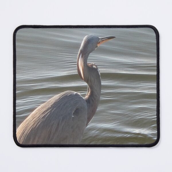 Item preview, Great Blue Heron by the Water designed and sold by Rachel B Morton.