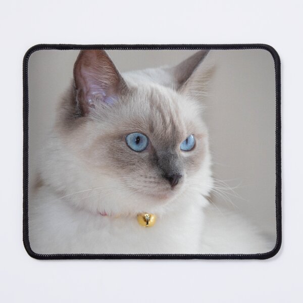 Item preview, Rag Doll Cat designed and sold by Kevin Hellon.