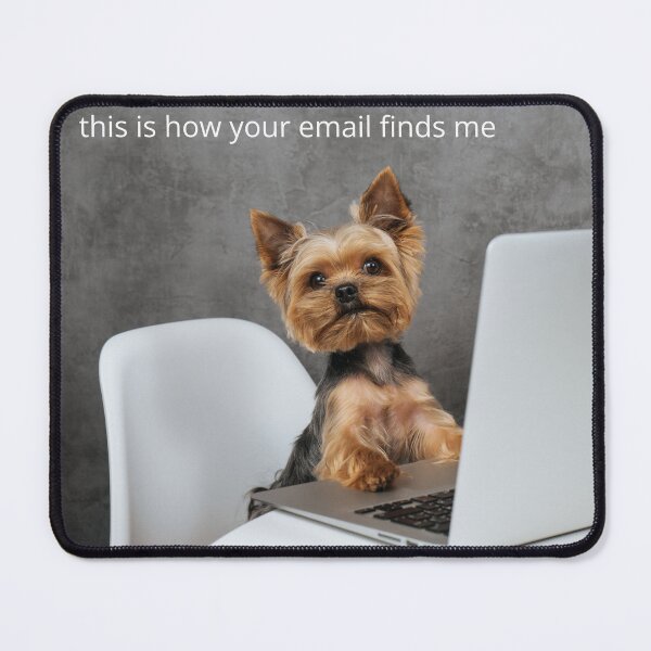 Item preview, this is how your email finds me designed and sold by bubblegumhearts.